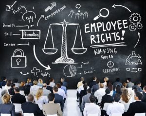 Employee Rights Employment Equality Job Business Seminar Concept