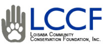 LCCF-logo